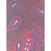 Jenjo Blani Neckwear JB-671 - Bundle Bus
