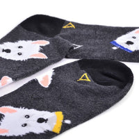 Men's Dog Novelty Socks - NVS19560-CHAR - Bundle Bus