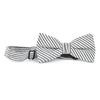 Men's Striped Seersucker Cotton Bow Tie & Hanky Set - CTBH1732 - Bundle Bus