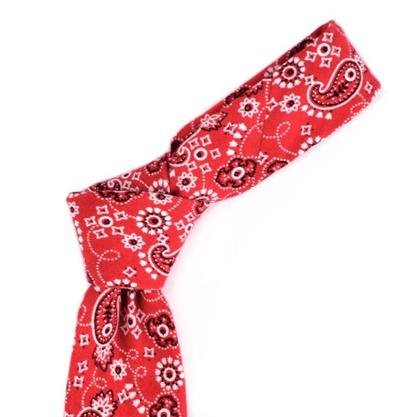 Paisley Cotton Slim Tie 2.5" - NVC-PAISLEY - Bundle Bus